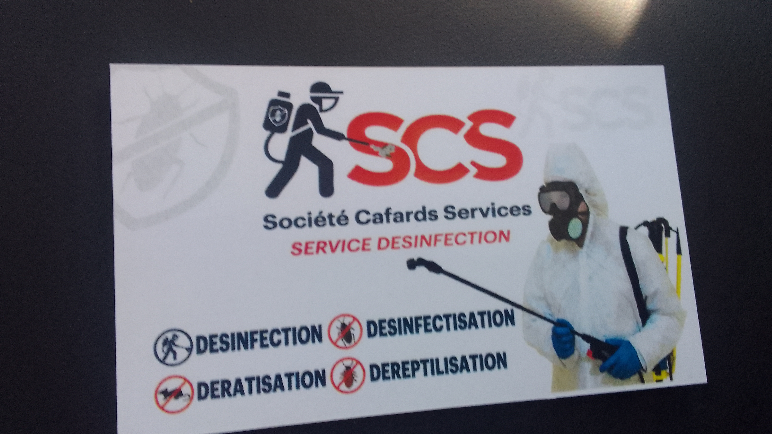 Services  Desinfection