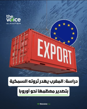 المغرب يهدر ثروته السمكية بتصدير معظمها إلى أوروبا the voice