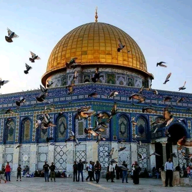 Mustapha El Abdellaoui