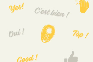 Les marqueurs en éducation