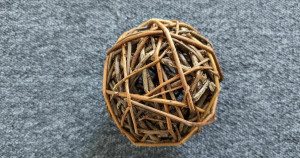 L'enrichissement du milieu de vie des lapins