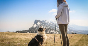 Améliorer le focus de son chien