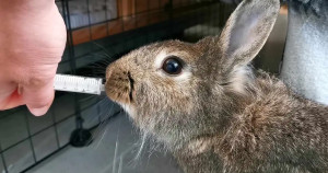 Le medical training, c'est quoi ?