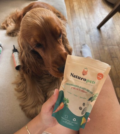 Friandises pour chien : comment faire plaisir sans nuire à sa santé ?