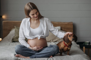 Comment préparer l'arrivée d'un bébé avec un chien ?