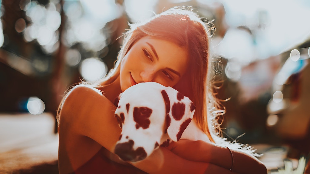 Comment apaiser la peau sensible d'un chien ?