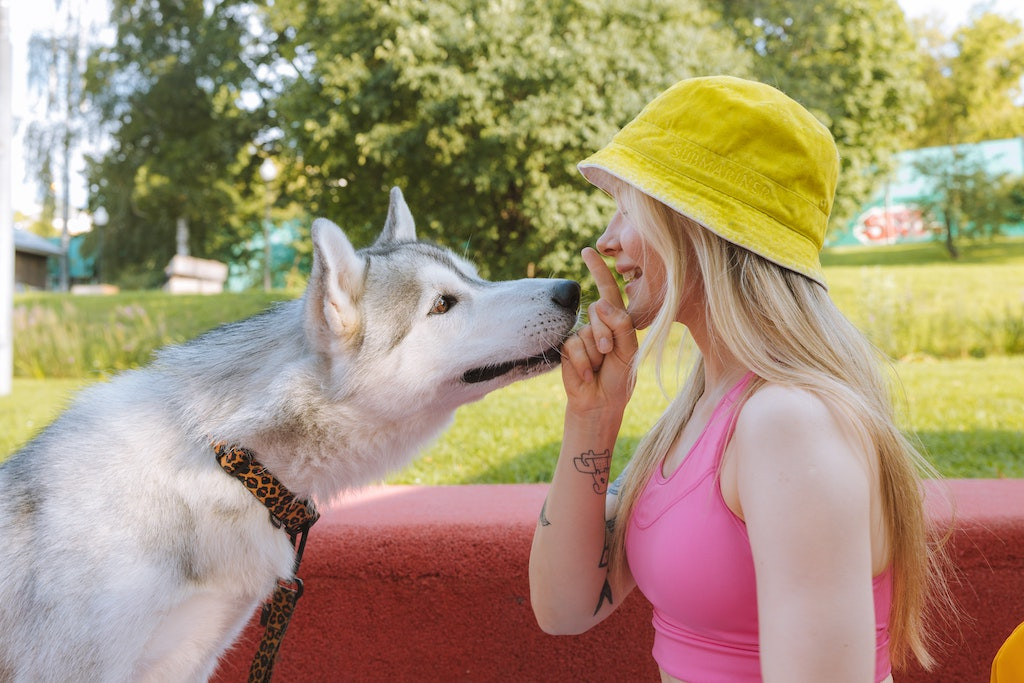 Tout savoir sur les bienfaits de l'huile de saumon pour les chiens et
