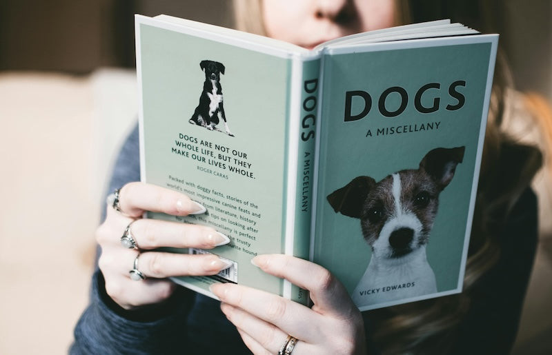 Eduquer son chien avec bienveillance : les clés de l'éducation positiv