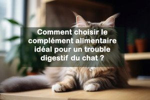 Comment choisir le complément alimentaire idéal pour un trouble digestif du chat ? | Blog Animal