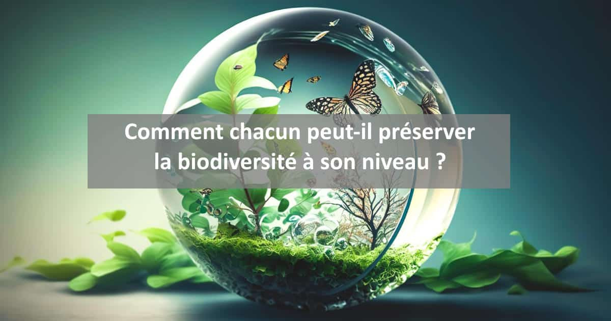 Comment peut-on préserver la nature et la biodiversité à son niveau ? | Blog Animal