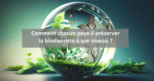 Comment peut-on préserver la nature et la biodiversité à son niveau ? | Blog Animal