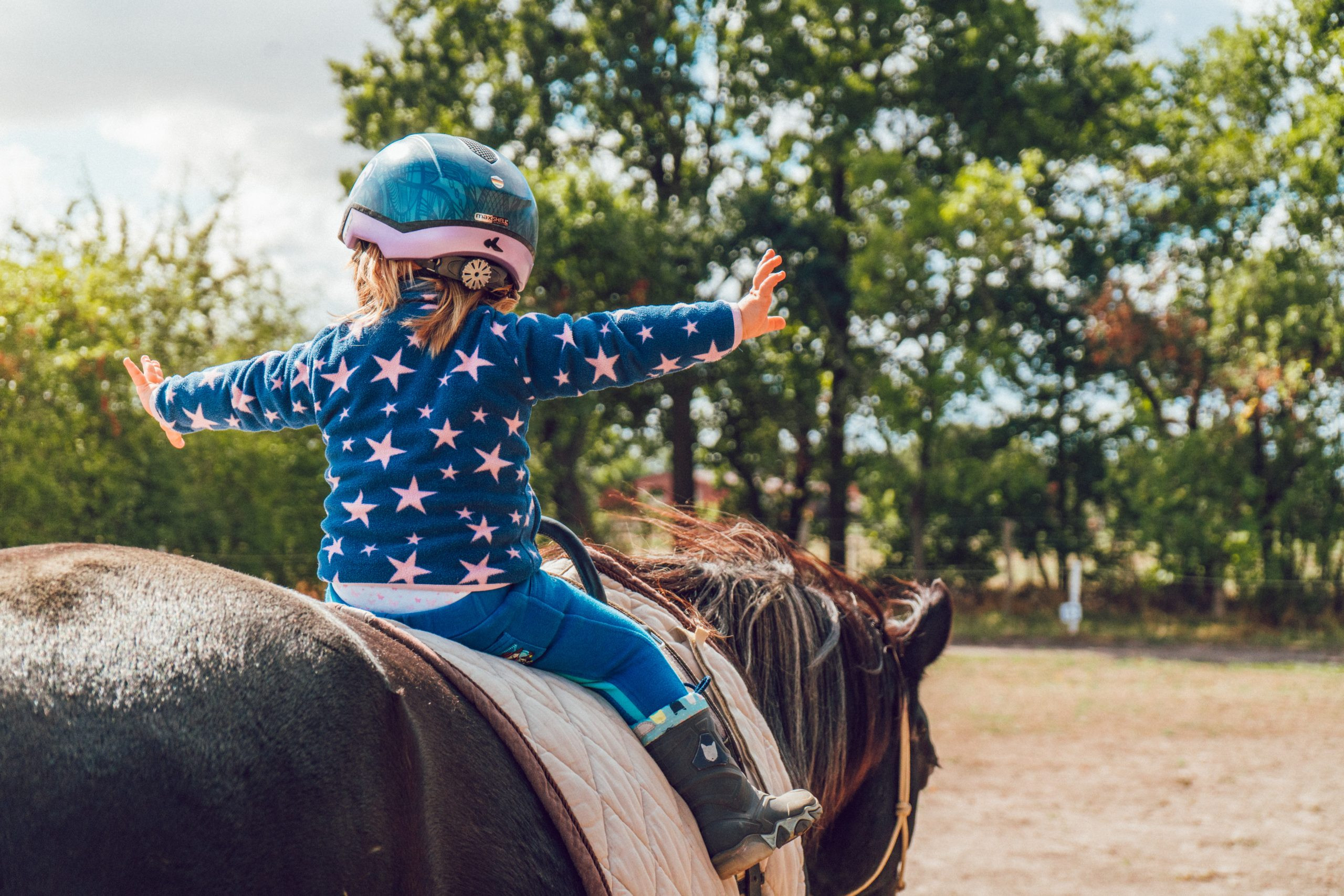Cheval de loisir→ quelle alimentation choisir ? | Blog Animal