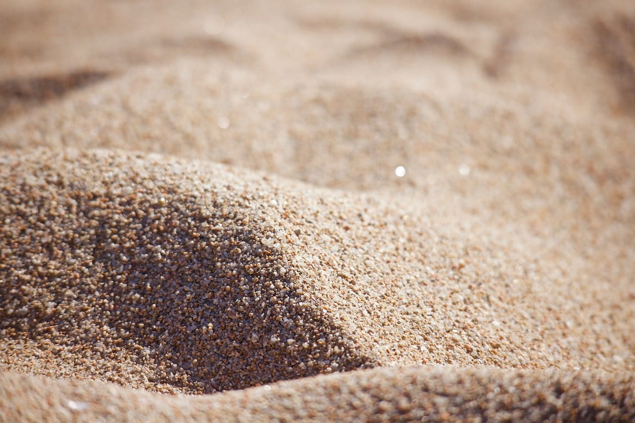 Bains de Sable : Guide Essentiel pour le Chinchilla