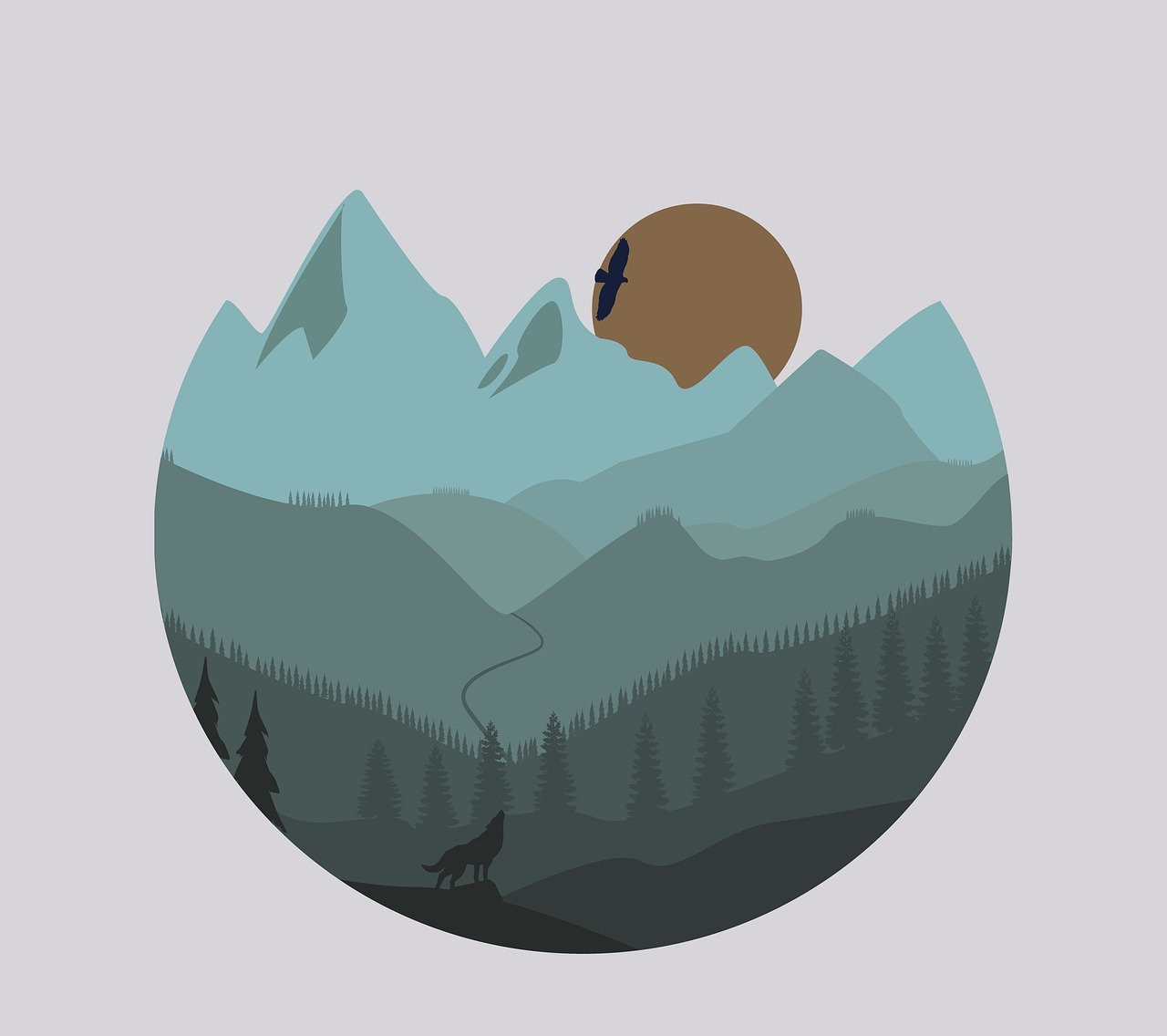 Loup gris : Guide pratique pour le reconnaître et déceler sa présence