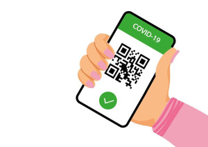 Vaccination des Vaches : Quand et Pourquoi en Faire une Priorité ?