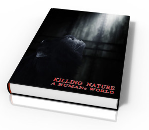 Normes de Bien-Être Animal : Guide Pratique pour l'Élevage de Bœufs de Trait