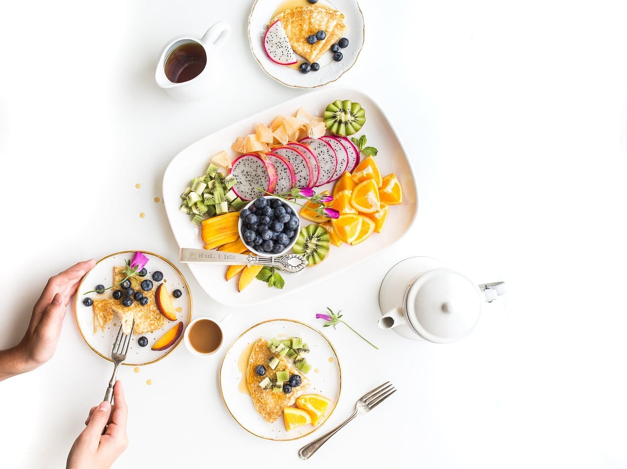 Nutrition des Vaches Gestantes : Clé d'un Vêlage Réussi