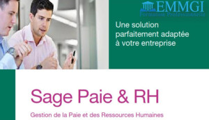 Formation : SAGE PAIE & RH - Guichet.com