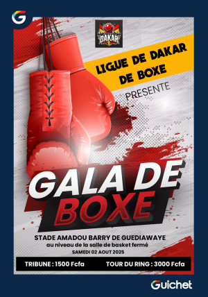 GALA DE BOXE - Guichet.com