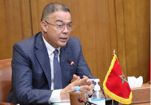 لقجع.. صانع “النهضة” !