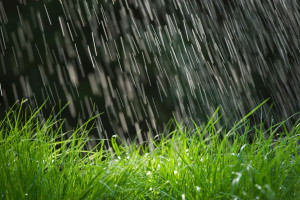 مقاييس الأمطار خلال الـ 24 ساعة الماضية