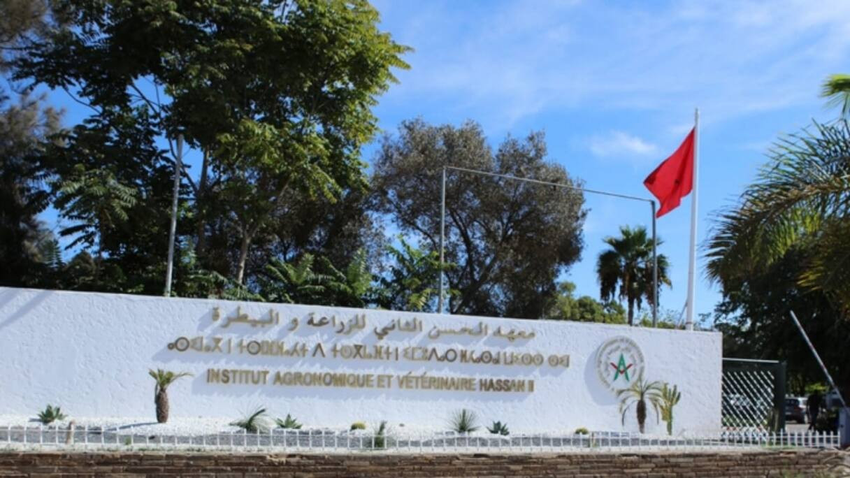 تفاصيل اتفاق بين طلبة معهد الزراعة والإدارة ينهي نحو شهر من الاحتجاج