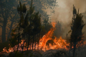 حرائق الغابات تجتاح الجنوب الفرنسي