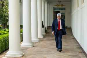 ترامب "يبتلع" المؤسسات الأمريكية