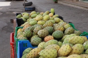 الغلاء يضرب "فاكهة الفقراء"