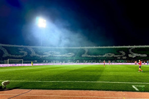 نادي الرجاء يبحث عن ألف منخرط