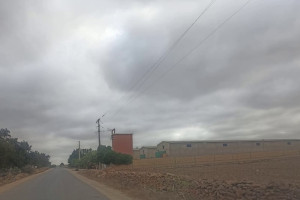 "مصانع عشوائية" برخص فلاحية تستنفر عمال أقاليم ضواحي البيضاء