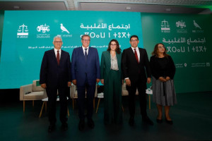 ثلاثة وزراء مرشحون لخوض الانتخابات التشريعية لـ2026 في دوائر الشمال