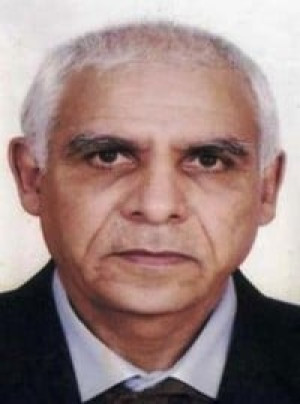 البحث عن الشمس والبحر