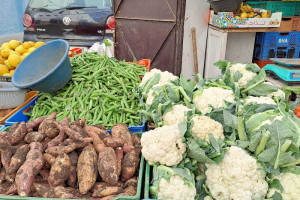 مهنيون ينفون تأثير التصدير إلى إفريقيا على أسعار الخضر في المغرب