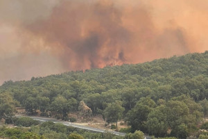 حريق شفشاون يلتهم 500 هكتار