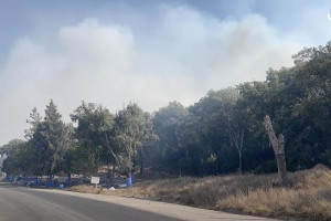 حريق في غابات شفشاون