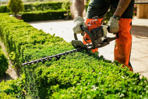 نصائح ذهبية لتجنب حوادث الآلات الكهربائية