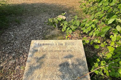 قطع شجرة الزيتون لإحياء ذكرى إيلان حليمي يثير غضب فرنسا