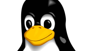 Linux dépasse les 5 % de parts de marché aux États-Unis !