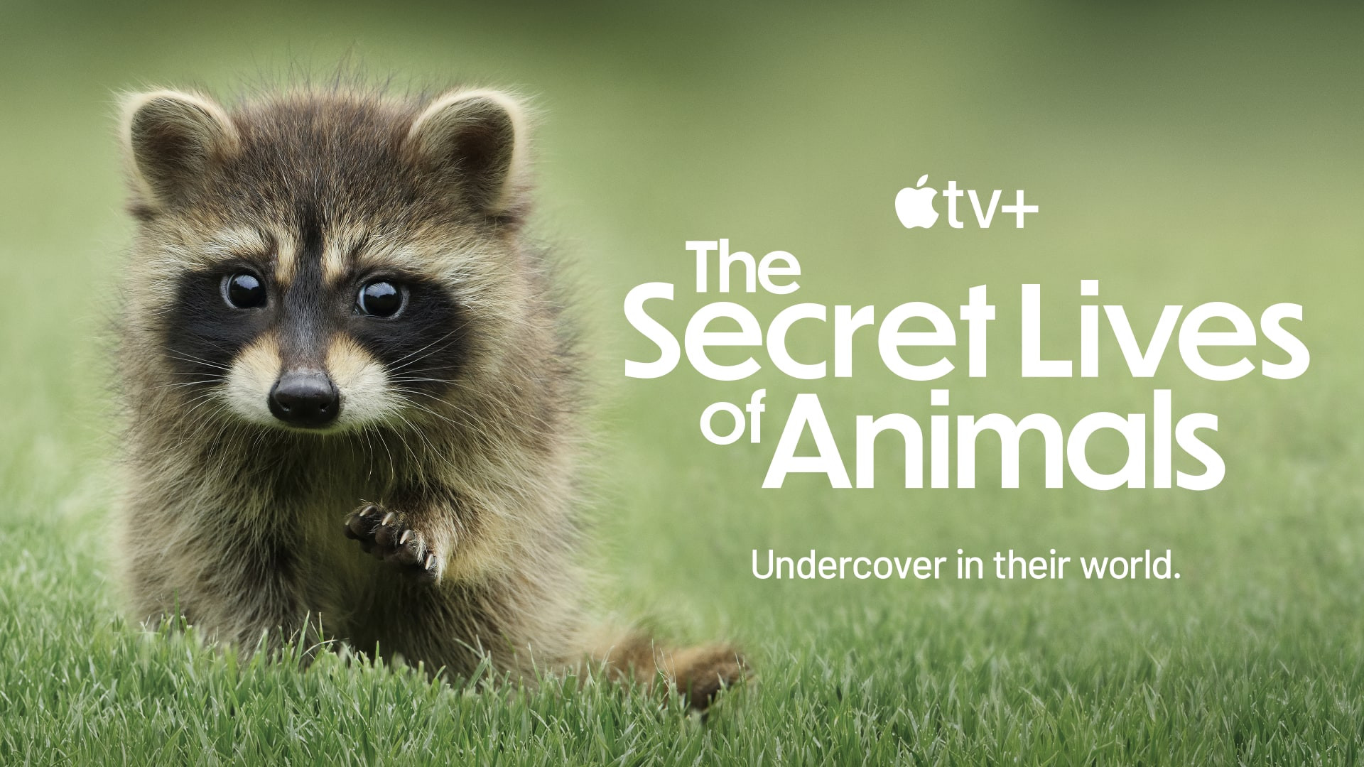 Apple TV+ docuseries scores 6 Daytime Emmy Awards nominations