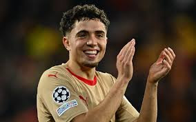 El Aynaoui: "We'll see..."
