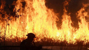 Indonesian police arrest 44 people suspected of starting forest fires