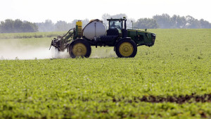 The French rebel against a pesticide authorised for use in the EU
