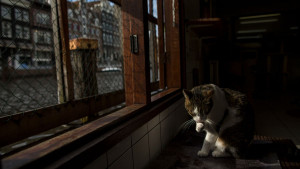Why is Amsterdam installing tiny staircases along its canals?