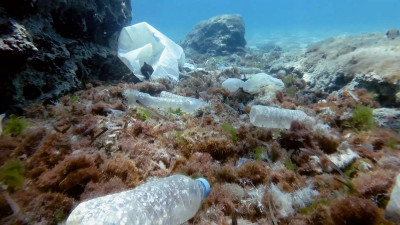 Hunting microplastics: French scientists sound the alarm on plastic pollution