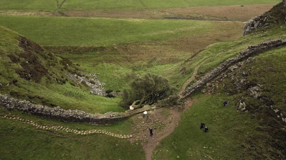 Men who felled iconic Sycamore Gap tree jailed for four years