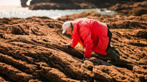 What scientists got right - and wrong - about coastal threats
