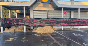 «Les promos Lidl sont notre tombeau» : les viticulteurs bordelais indignés par des bouteilles de vin AOC vendues à 1,39 euro