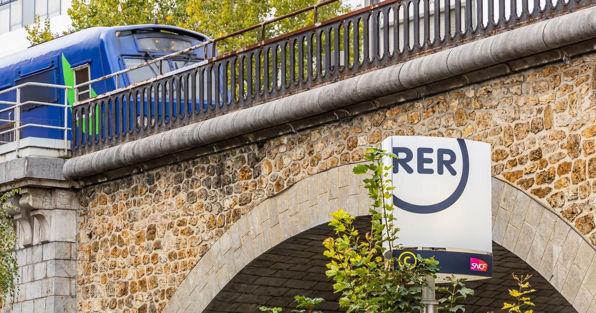 Paris : un homme de 19 ans condamné pour avoir arraché violemment le collier d’une femme de 91 ans dans le RER B