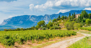 102 avant J.-C. : moqué par l’aristocratie romaine, le rustique Caius Marius savoure sa victoire